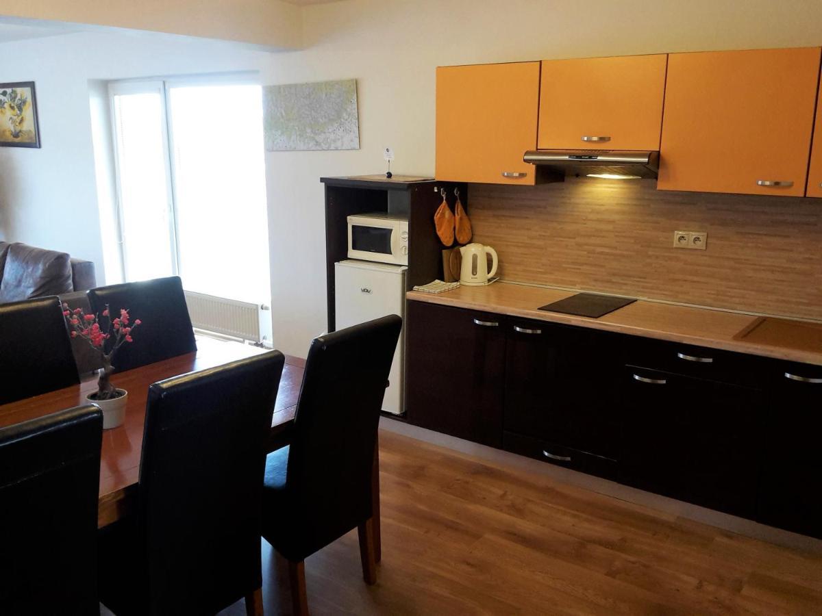 Apartman Slavkov Home & Parking Nová Lesná エクステリア 写真