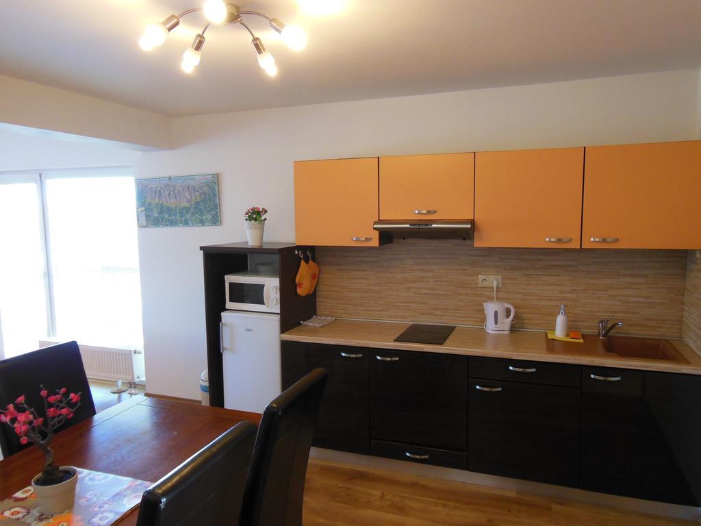 Apartman Slavkov Home & Parking Nová Lesná エクステリア 写真