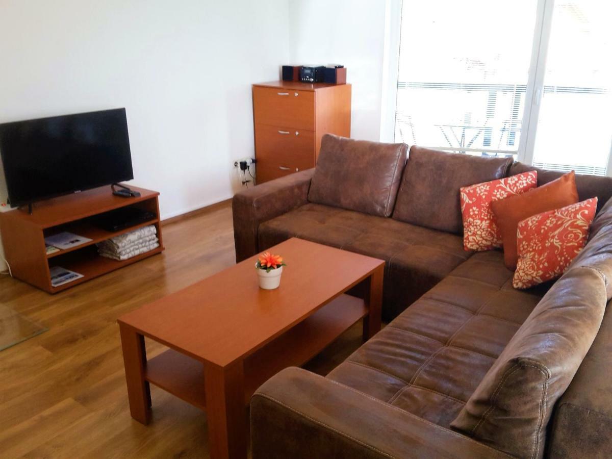 Apartman Slavkov Home & Parking Nová Lesná エクステリア 写真